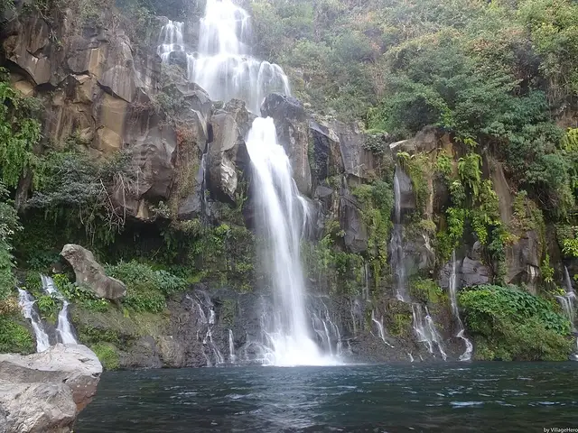 Bassin des Aigrettes