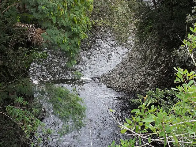 Bassin la Paix