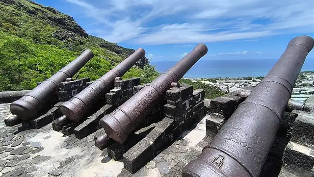 Canons de la Redoute de Bourbon - Saint-Denis