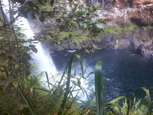 Cascade de Takamaka