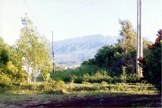 Petit Bénare