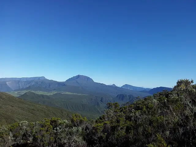 Piton Textor