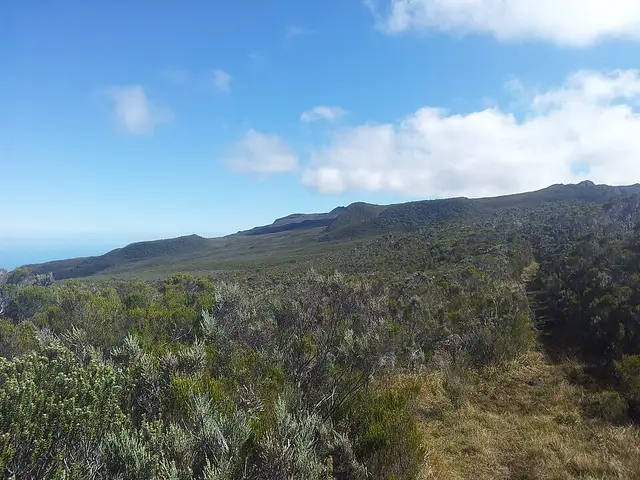 Paysage des hauts