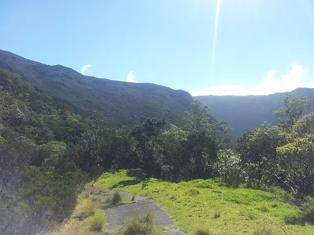 Piste du casé de la rivière de l'est