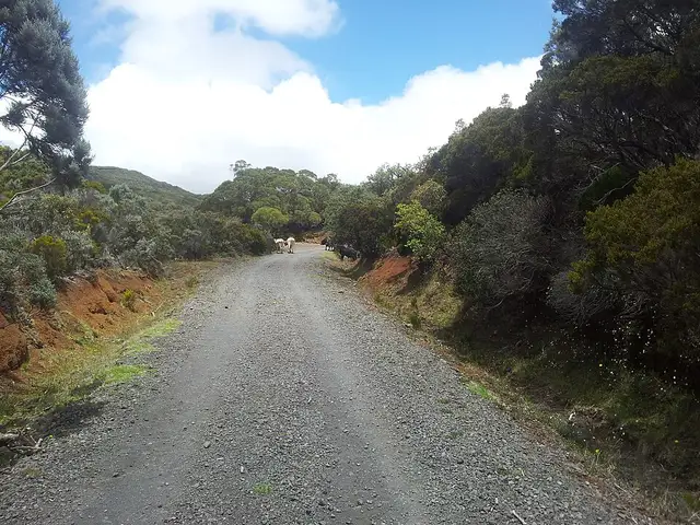 Piste du Piton de l'Eau