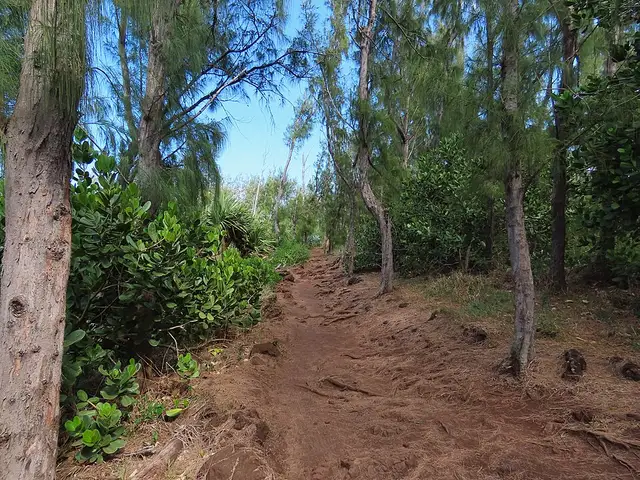 Piton Grande Anse