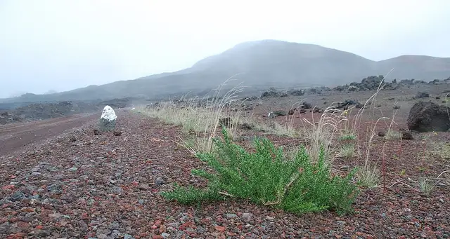 Plaine des Sables