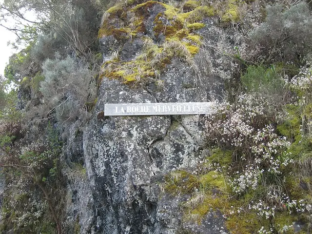Belvédère de la Roche Merveilleuse