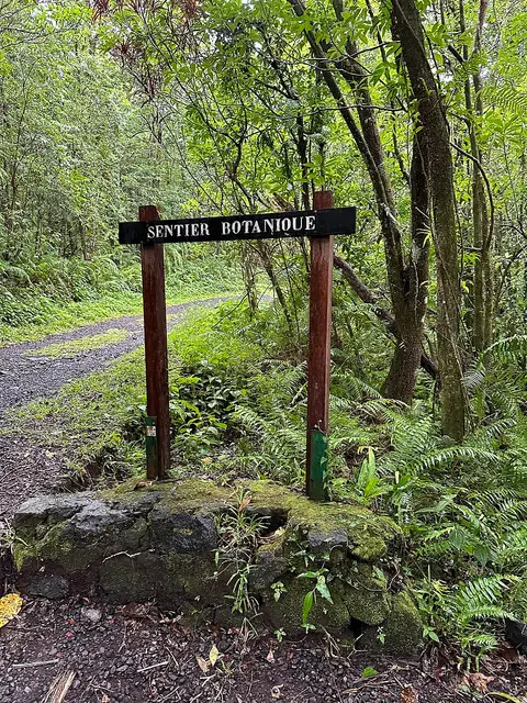 Forêt de Mare Longue