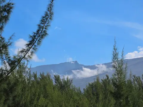 Nez Coupé du Tremblet