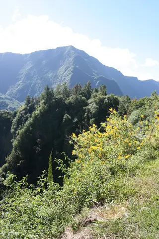 Piton Bémassoune