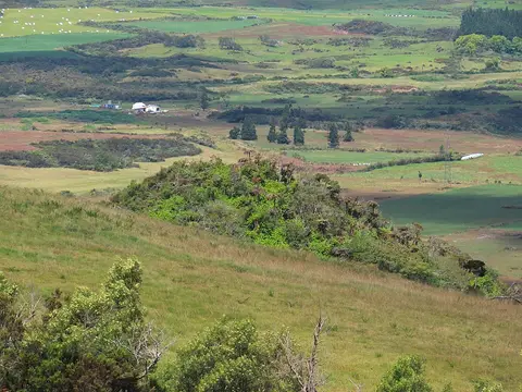 Piton Doret