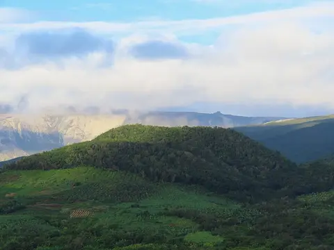 Piton Moka