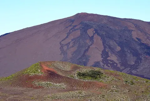 Piton Rouge