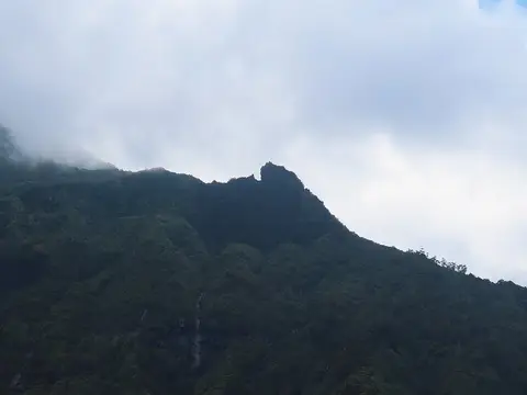 Tête de Lion